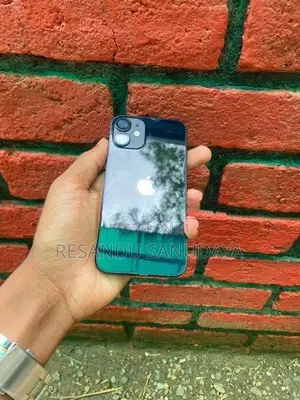 Apple iPhone 12 mini (Used)