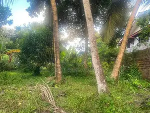Land for sale