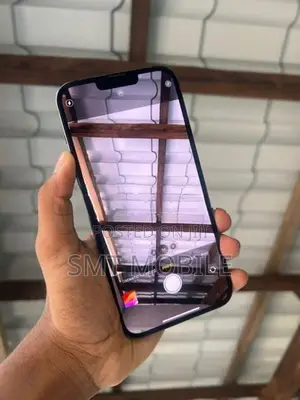 Apple iPhone 13 Pro Max (Used)