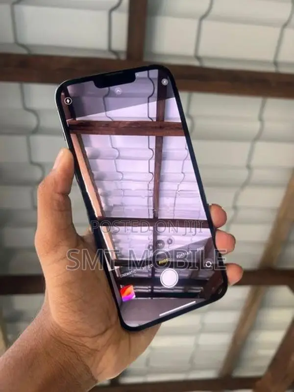 Apple iPhone 13 Pro Max (Used)