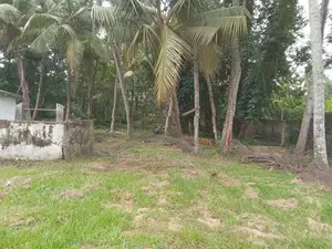 Prime 112-Perch Land with House for Sale Gampaha