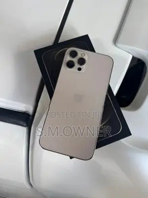 Apple iPhone 12 Pro Max (Used)