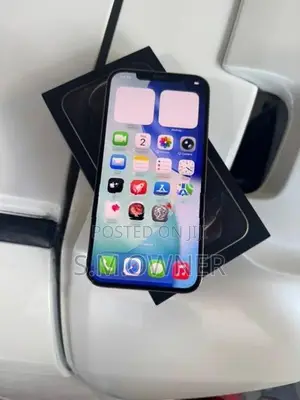 Apple iPhone 12 Pro Max (Used)