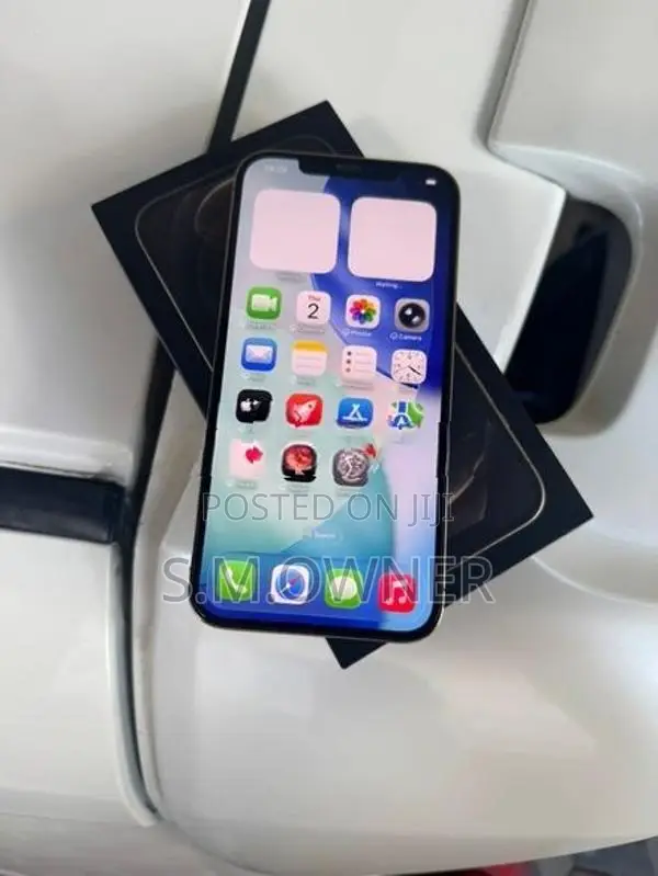 Apple iPhone 12 Pro Max (Used)