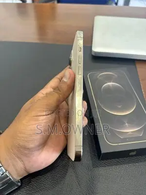 Apple iPhone 12 Pro Max (Used)