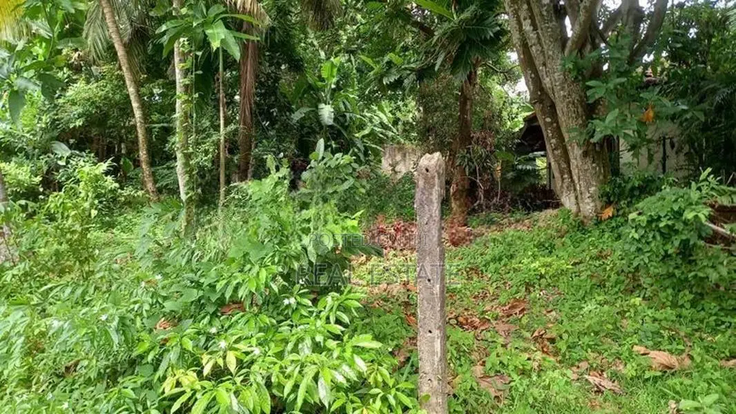 Land for Sale in Hibutana, Mulleriyawa - REF49