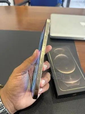 Apple iPhone 12 Pro Max (Used)