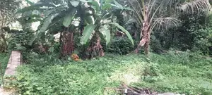 Land for Sale Kadawatha