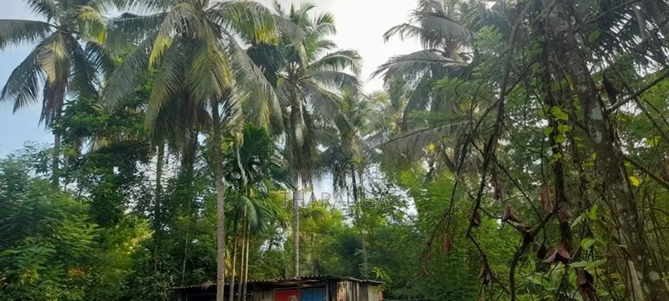 Land for Sale Kadawatha
