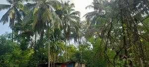 Land for Sale Kadawatha