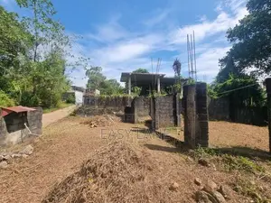 මල්වාන – ගනේගොඩින් පර්චස් 40ක වටිනා බිම් කොටසක් විකිණීමට / RU 11047