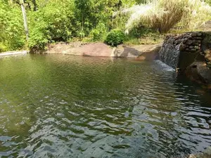 Hotel for Sale in Bulathkohupitiya