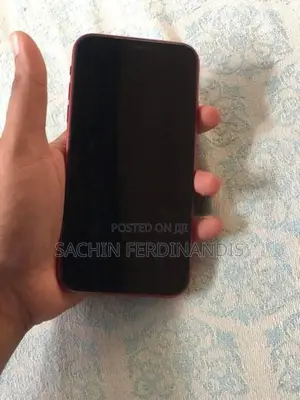 Apple iPhone 11 (Used)