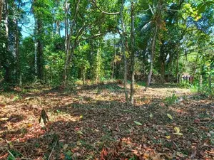 උඩුගම්පොළ – වීදියවත්තෙන් වටිනා බිම් කොටසක් /KM 10701