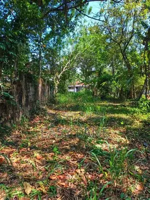 උඩුගම්පොළ – වීදියවත්තෙන් වටිනා බිම් කොටසක් /KM 10701