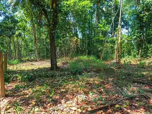 උඩුගම්පොළ – වීදියවත්තෙන් වටිනා බිම් කොටසක් /KM 10701
