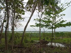 Land for Sale in Mattala Hambantota