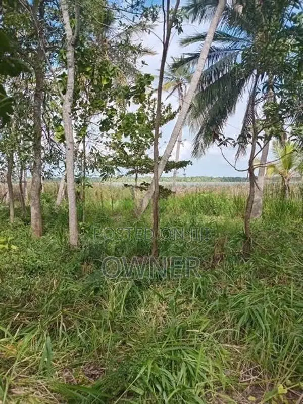Land for Sale in Mattala Hambantota