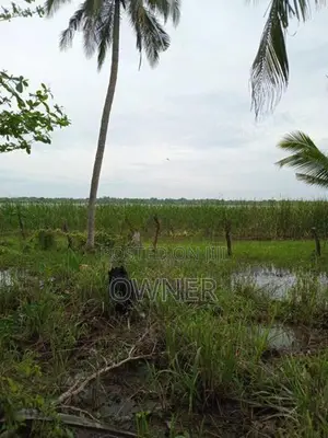 Land for Sale in Mattala Hambantota