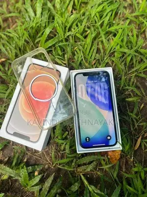 Apple iPhone 12 (Used)