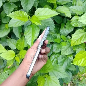 Tecno Spark20 (Used)