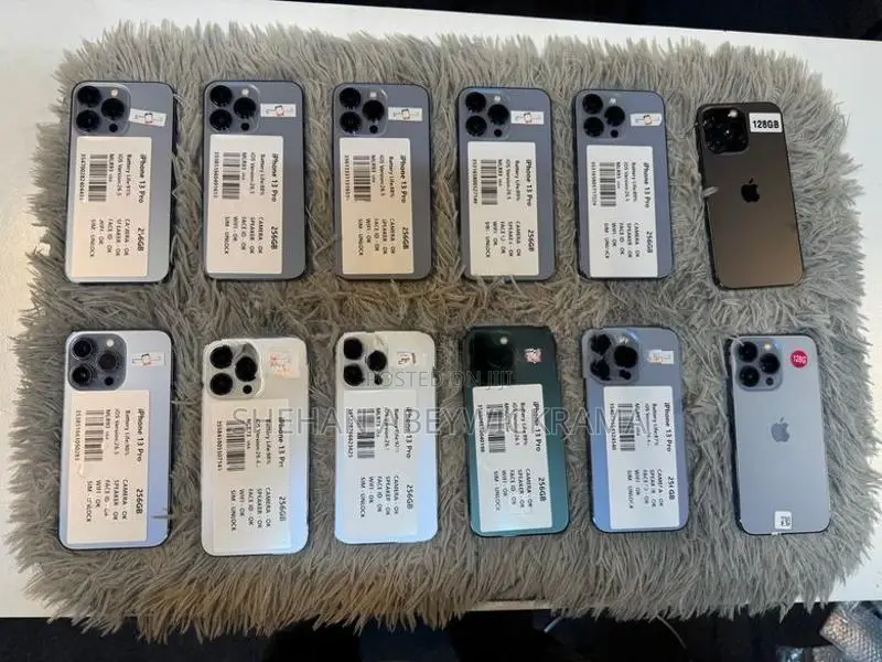 Apple iPhone 13 Pro 256GB (Used)