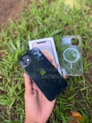 Apple iPhone 12 (Used)