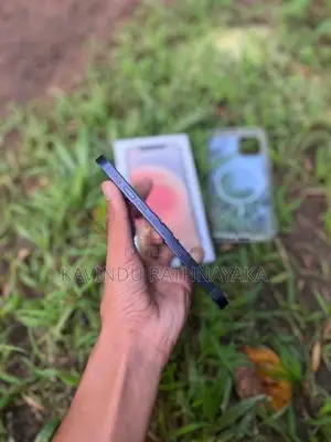 Apple iPhone 12 (Used)