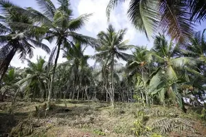 Land with House for Sale In Padukka, Pahalabope