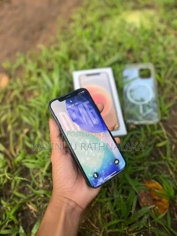 Apple iPhone 12 (Used)