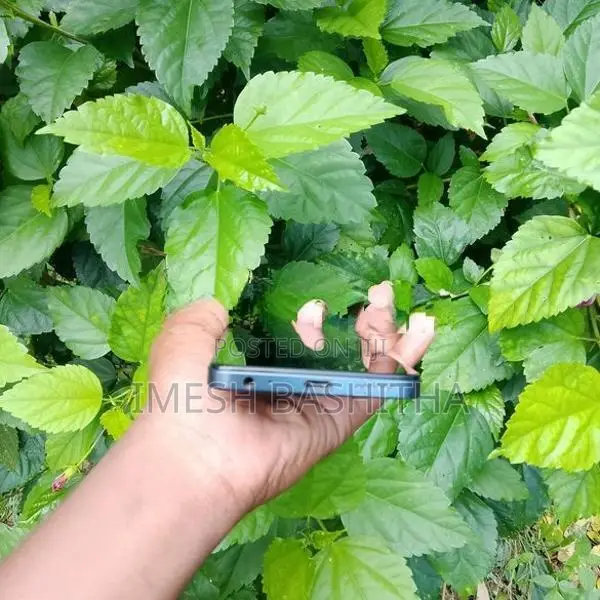 Tecno Spark20 (Used)