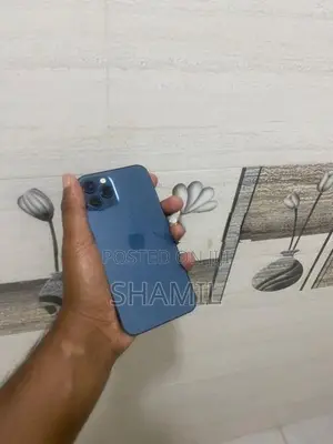 Apple iPhone 12 Pro (Used)