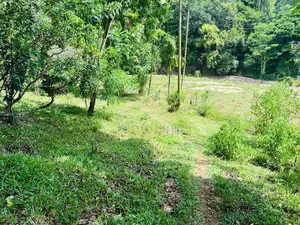 Land for Sale - Badulla