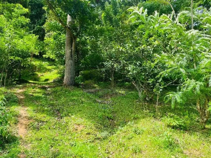 Land for Sale - Badulla