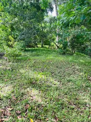 Land for Sale - Badulla