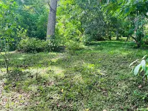 Land for Sale - Badulla