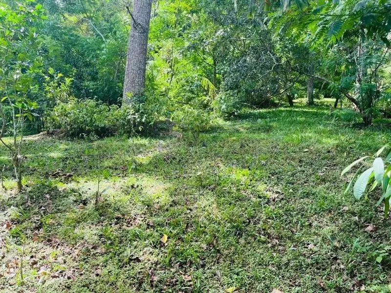 Land for Sale - Badulla