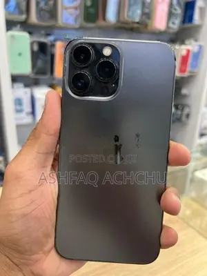 Apple iPhone 13 Pro Max (Used)
