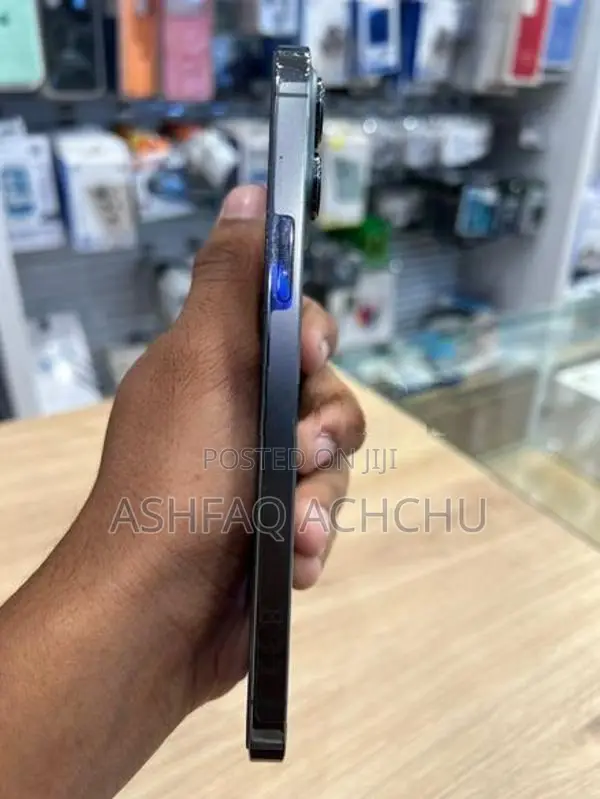 Apple iPhone 13 Pro Max (Used)
