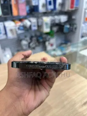 Apple iPhone 13 Pro Max (Used)