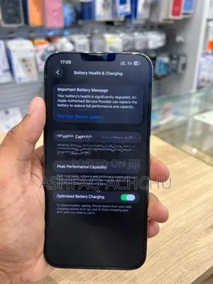 Apple iPhone 13 Pro Max (Used)