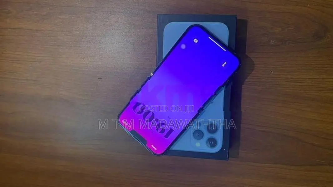 Apple iPhone 13 Pro Max (Used)