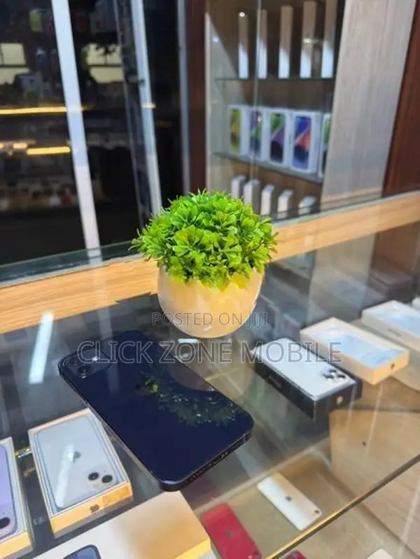 Apple iPhone 12 64GB (Used)