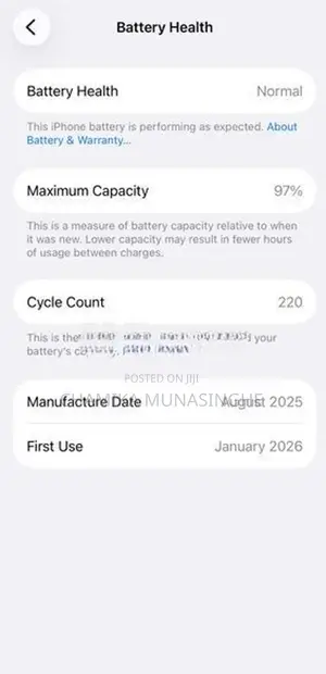 Apple iPhone 15 128GB (Used)
