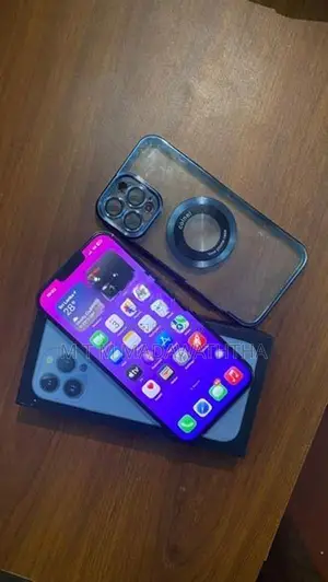 Apple iPhone 13 Pro Max (Used)