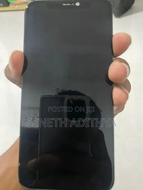 Apple Iphone 11 pro display