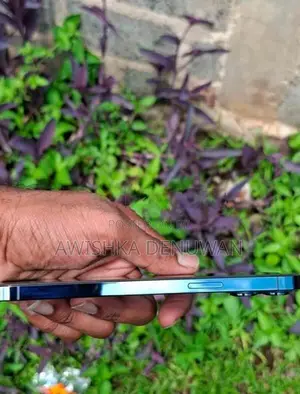 Apple iPhone 12 Pro Max (Used)