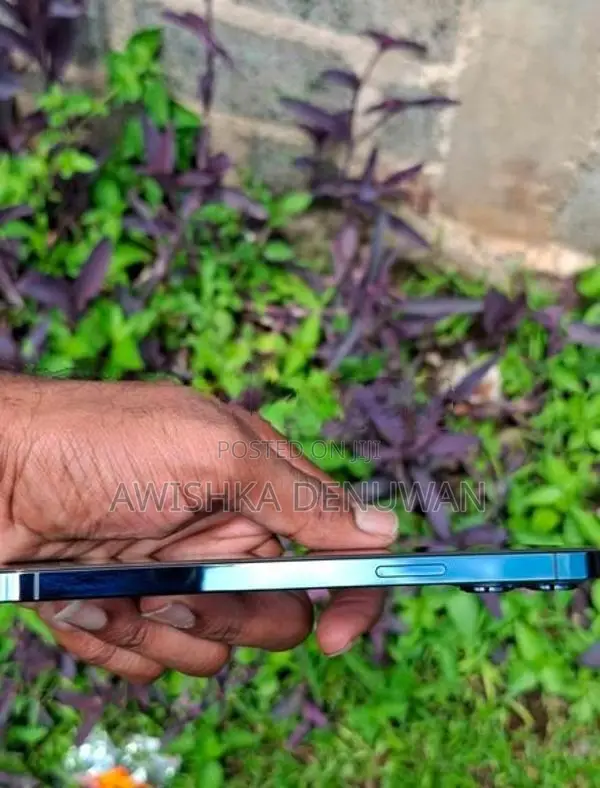 Apple iPhone 12 Pro Max (Used)