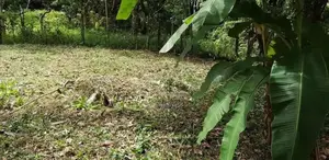 Land for Sale Biyagama
