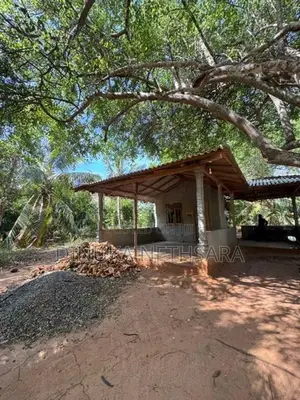 කතරගමින් වටිනා ඉඩමක්